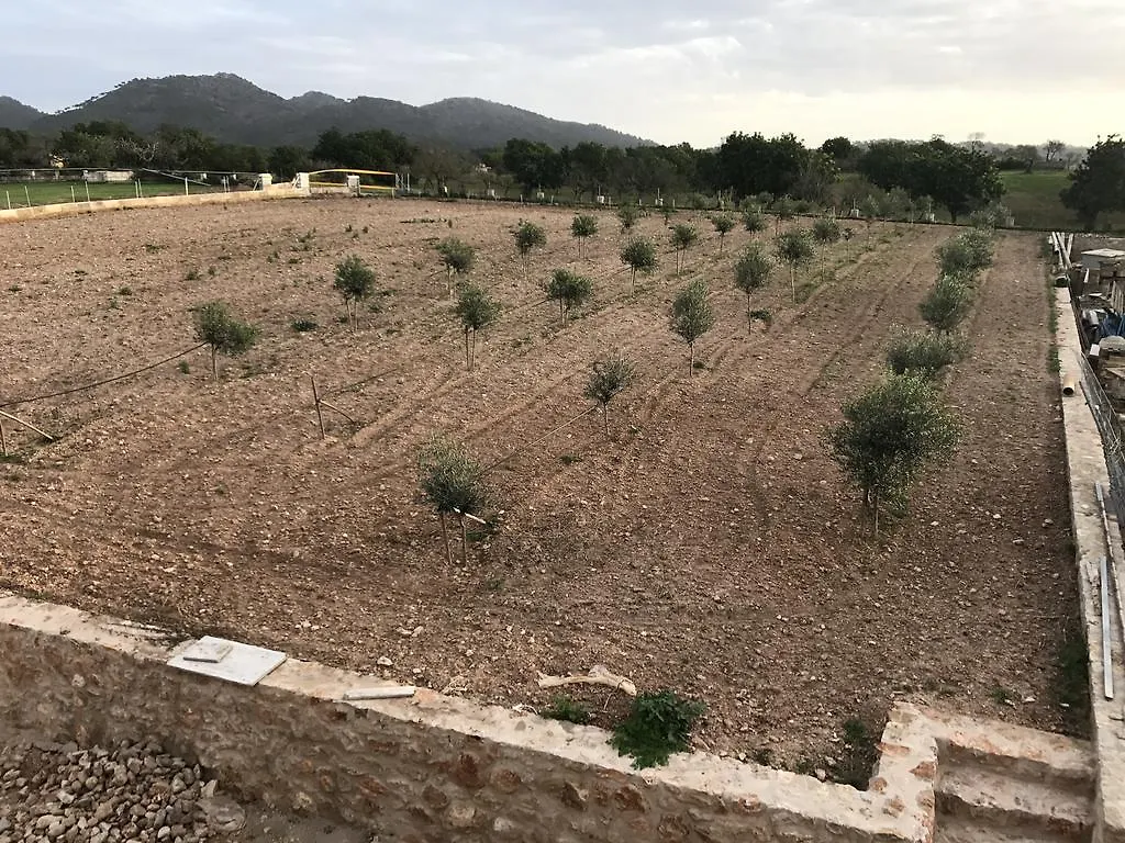Ca Na Nina Villa Sant Llorenc Des Cardassar 0*,