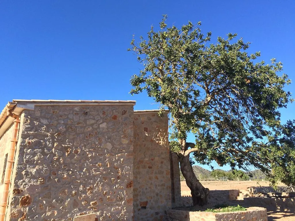 Ca Na Nina Villa Sant Llorenc Des Cardassar Çiftlik konaklama